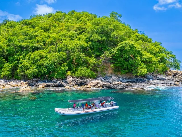Aerial view of a tour boat near a rocky shore with dense vegetation